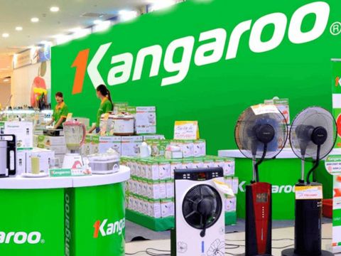 Reducing revenue, Kangaroo still has an additional 2.3 billion dong of profit per month